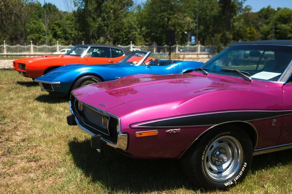 Boostez Votre Immunité avec Ces Super-Aliments Incontournables