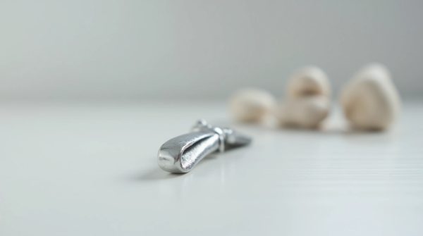 Avis sur la barrette de fiona franchimon : qualité ou déception ?